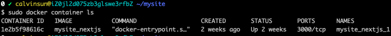my-website-docker-container-ls
