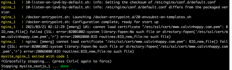 my-website-nginx-docker-error-log