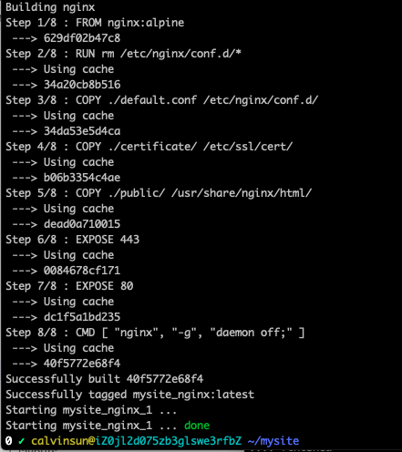 my-website-nginx-docker-log